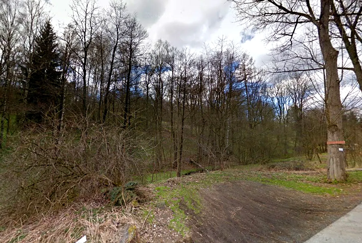 Prodej louky 4895 m²